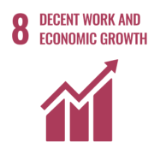 8 Decent work and economic growth